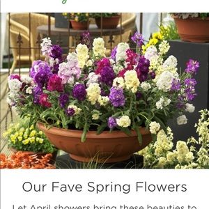 Meet your Posher, Terri